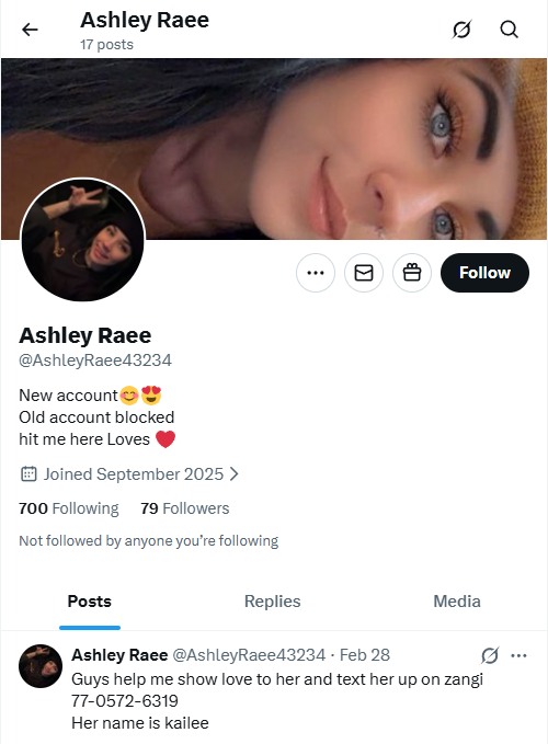 Lure bot promoting messaging apps with suggestive content